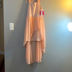 Jcpenny Blush Pink Dress with Roses for girls